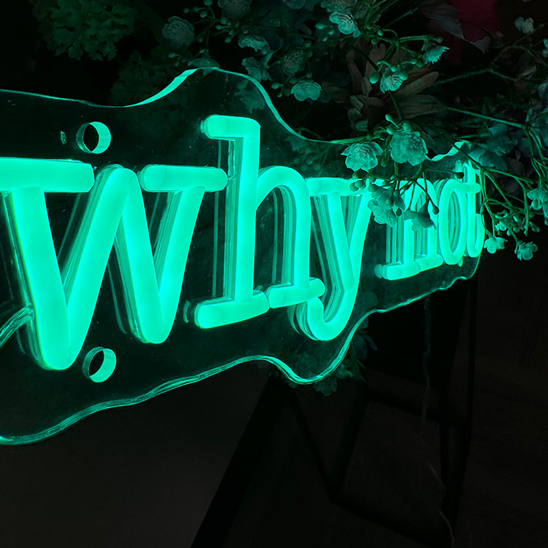 Neon Verlichting Why Not