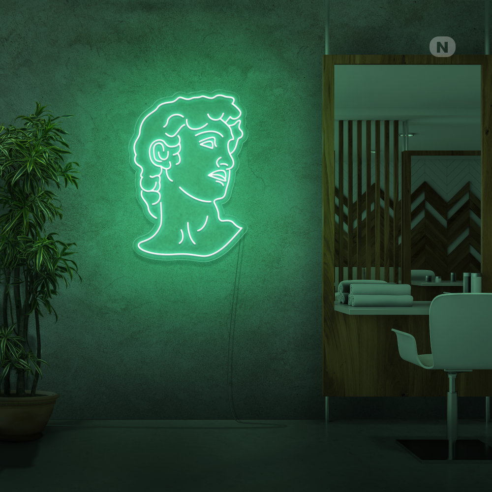 Neon Verlichting Michelangelo's David