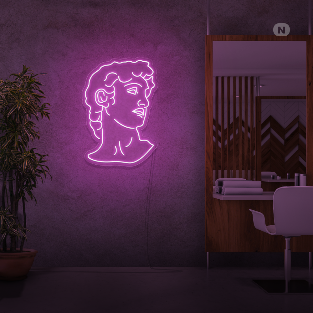 Neon Verlichting Michelangelo's David