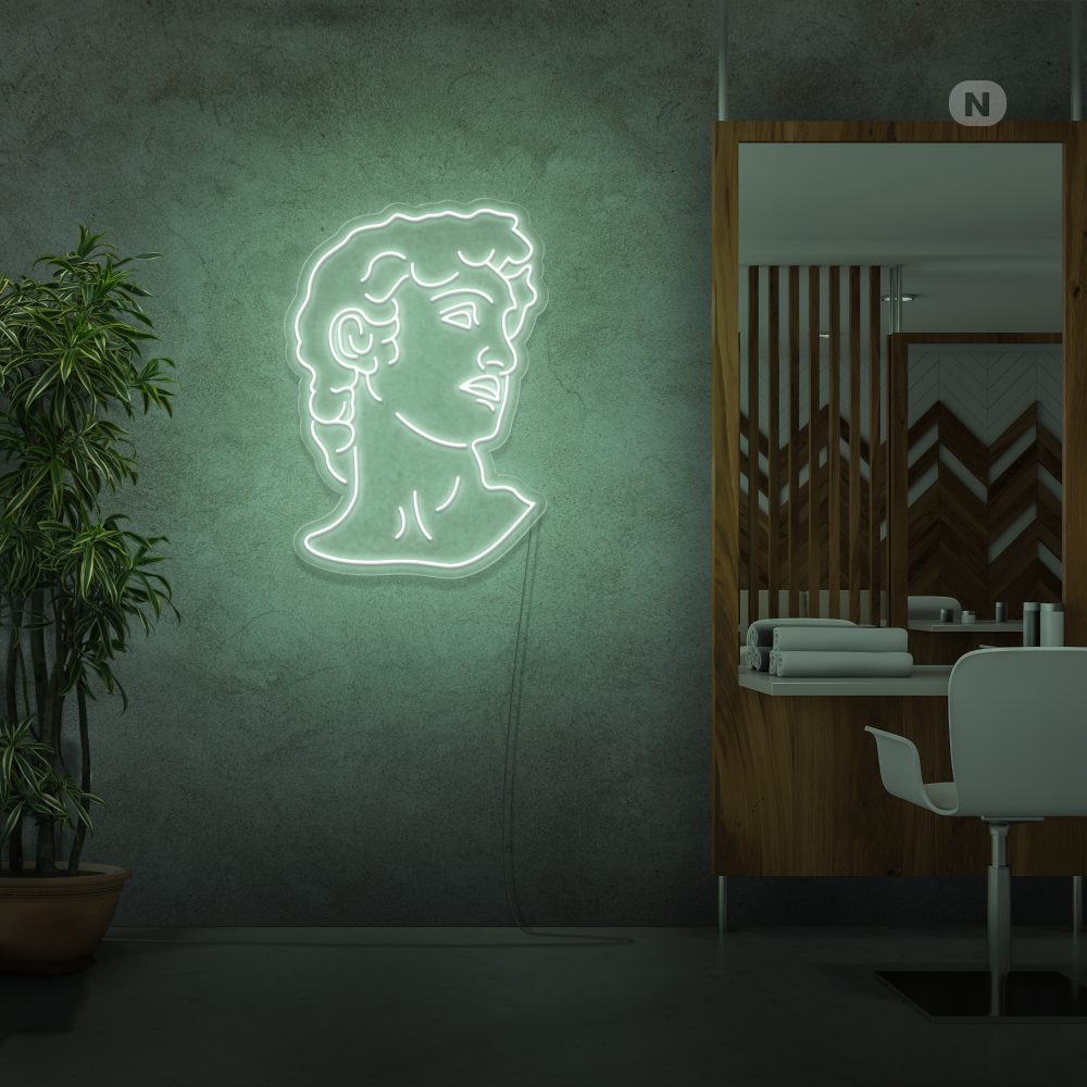Neon Verlichting Michelangelo's David
