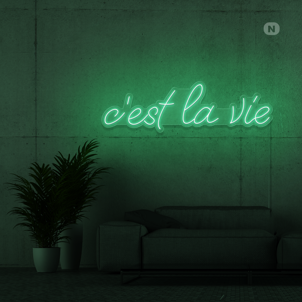 Neon Verlichting c'est la vie (RGB)