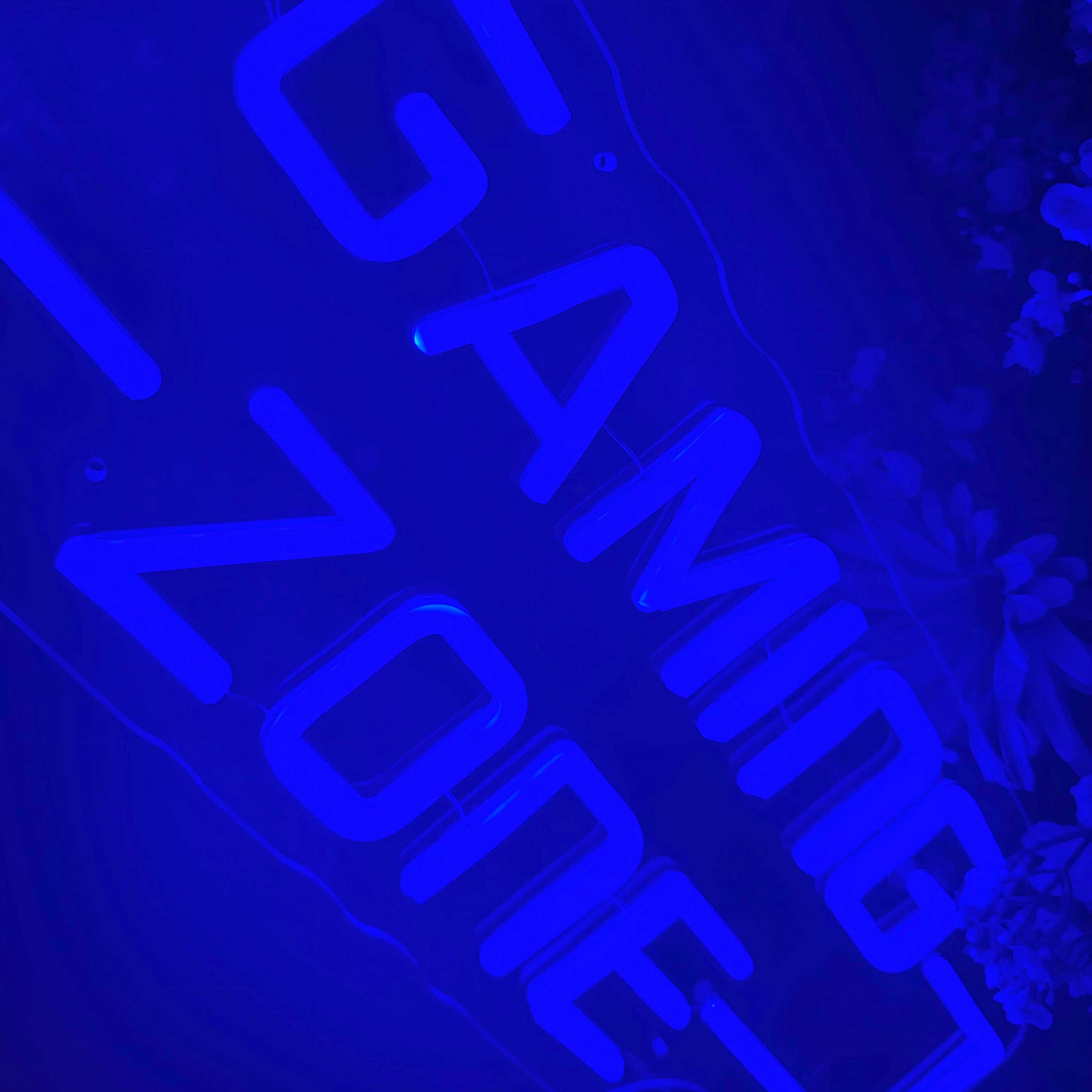 Neon Verlichting Gaming Zone