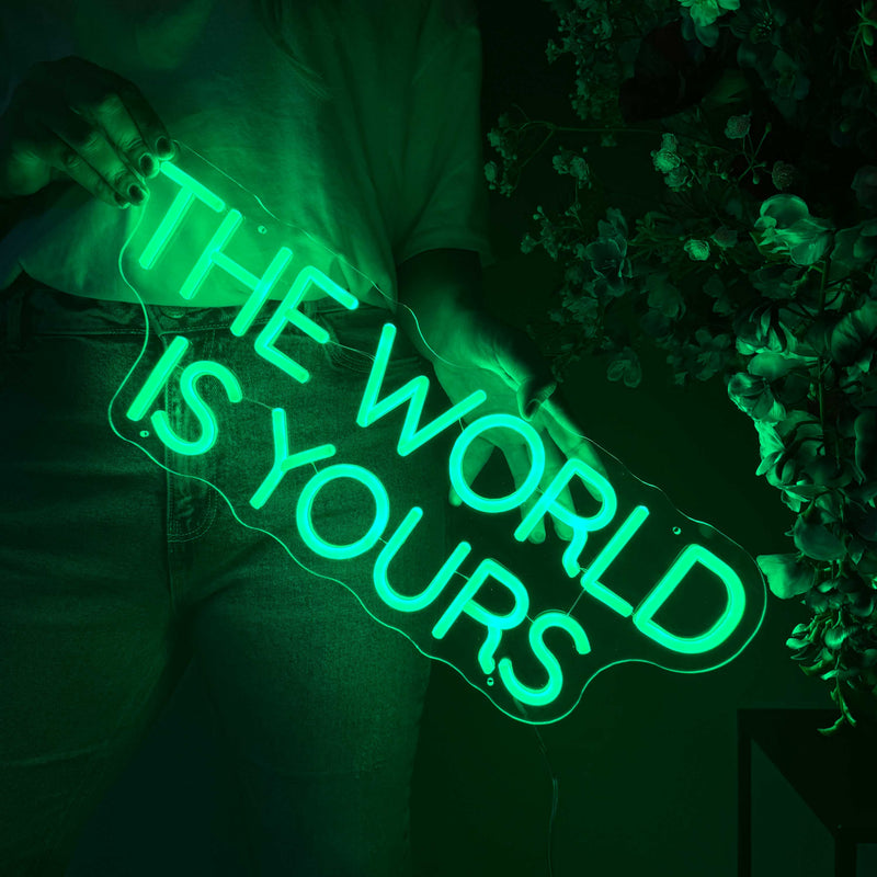 Neon Verlichting The World Is Yours