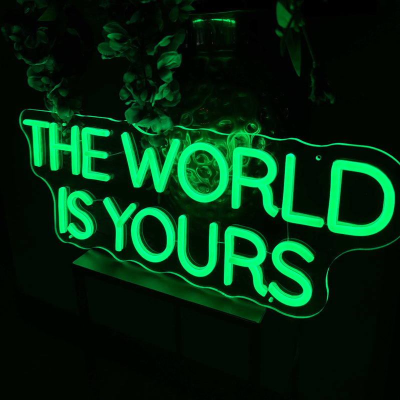 Neon Verlichting The World Is Yours