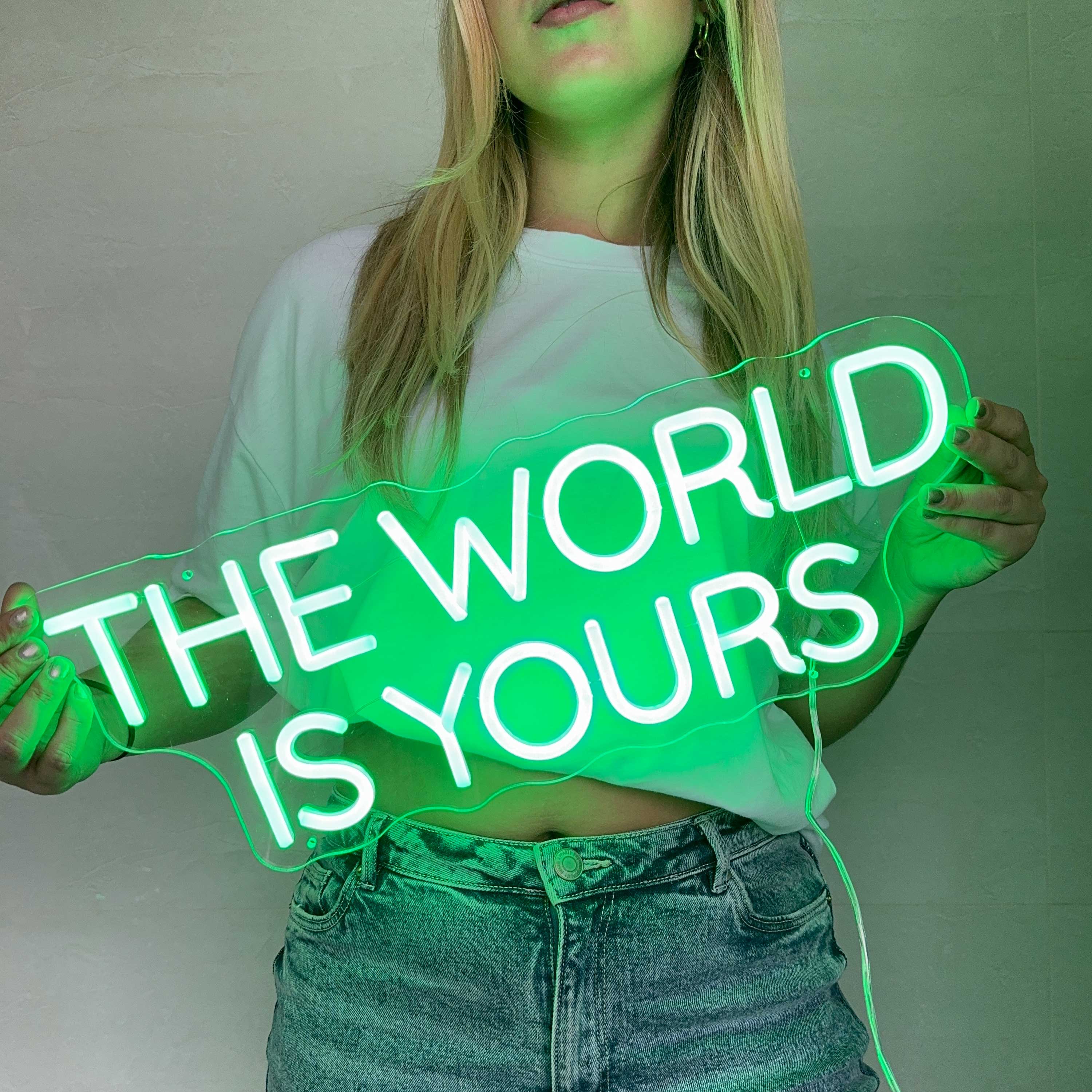 Neon Verlichting The World Is Yours