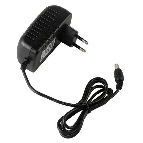 Neon Verlichting Adapter 12 Watt - 12V