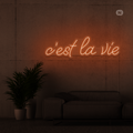 Neon Verlichting c'est la vie